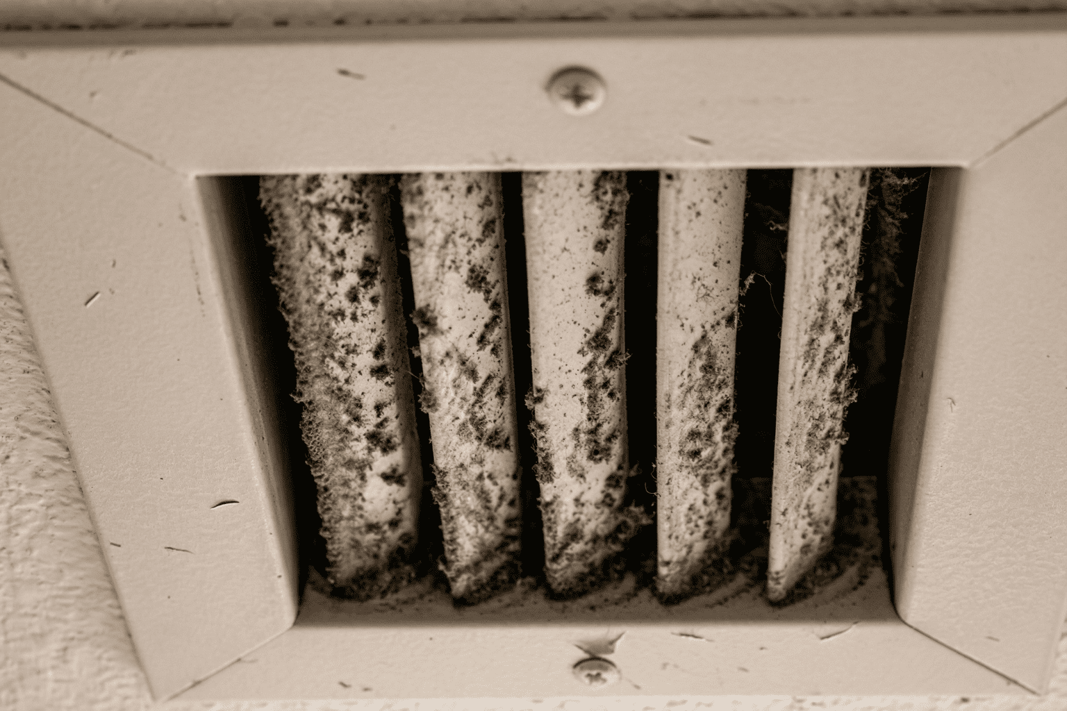 5 Warning Signs Your Air Ducts Need Immediate Mold Treatment